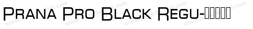 Prana Pro Black Regu字体转换